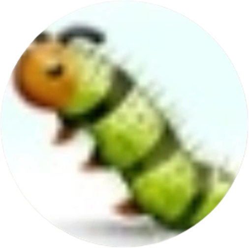蛆之探索者（M.E.G.）头像